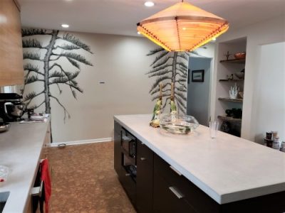 Wall Mural Installation and Custom Art